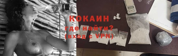 СК Сосновка