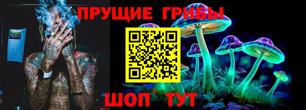 Прокопьевск  Псилоцибиновые грибы Psilocybe  Галлюциногенные грибы Psilocybe  Вход с VPN 